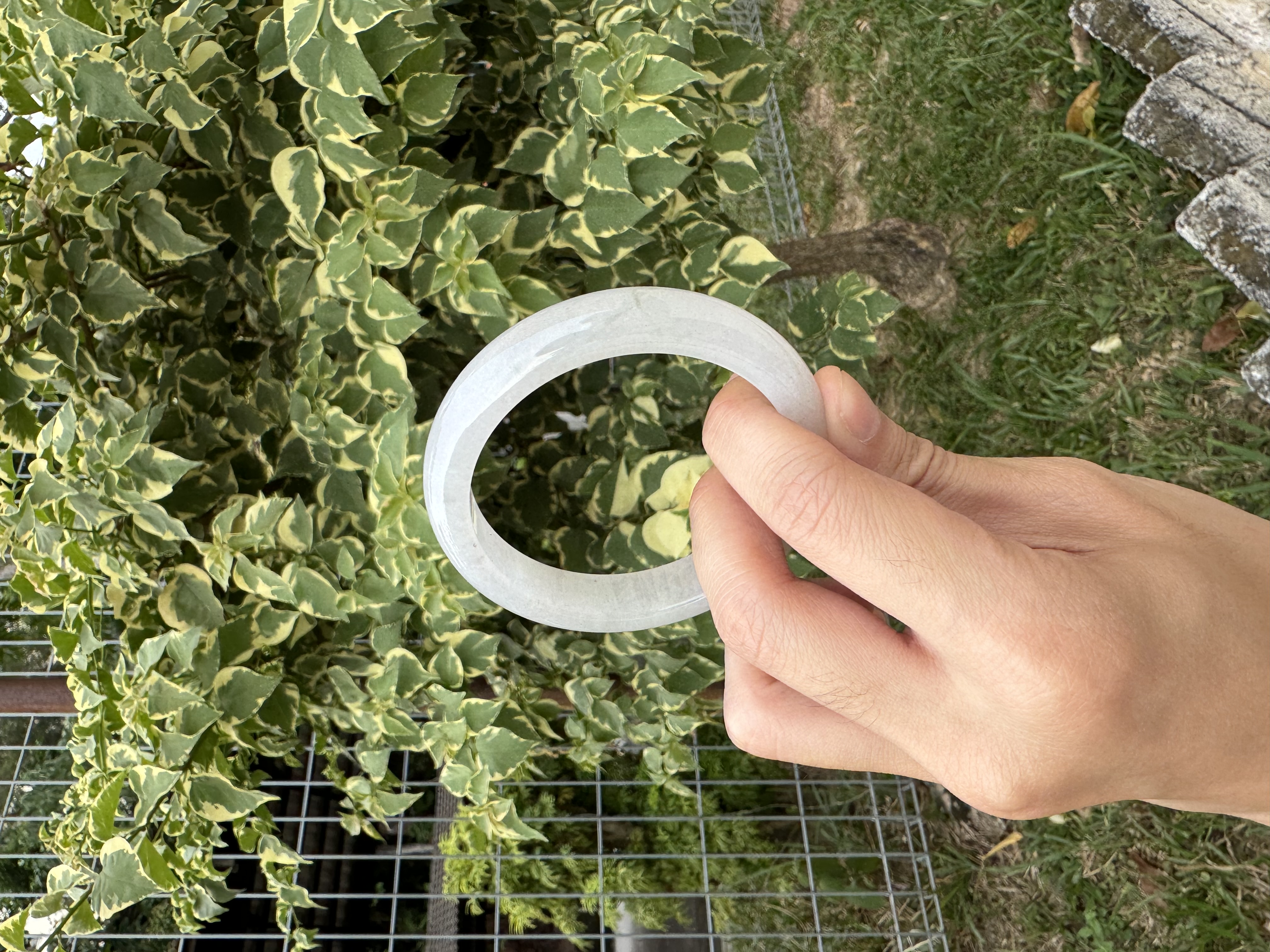 Moonlight White Jadeite Bangle 57mm