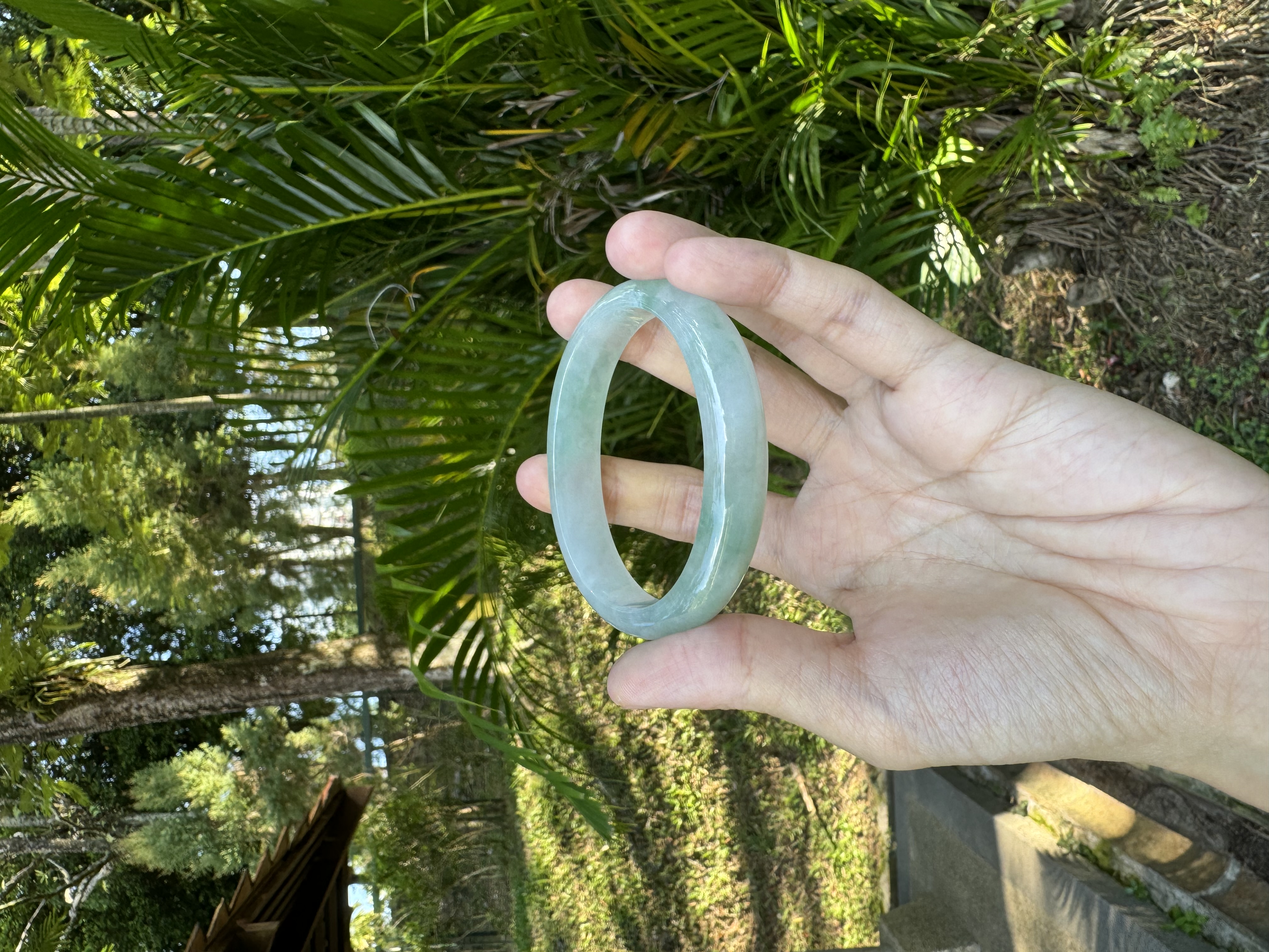 Icy Sunny Green Oval Jadeite Bangle 56mm