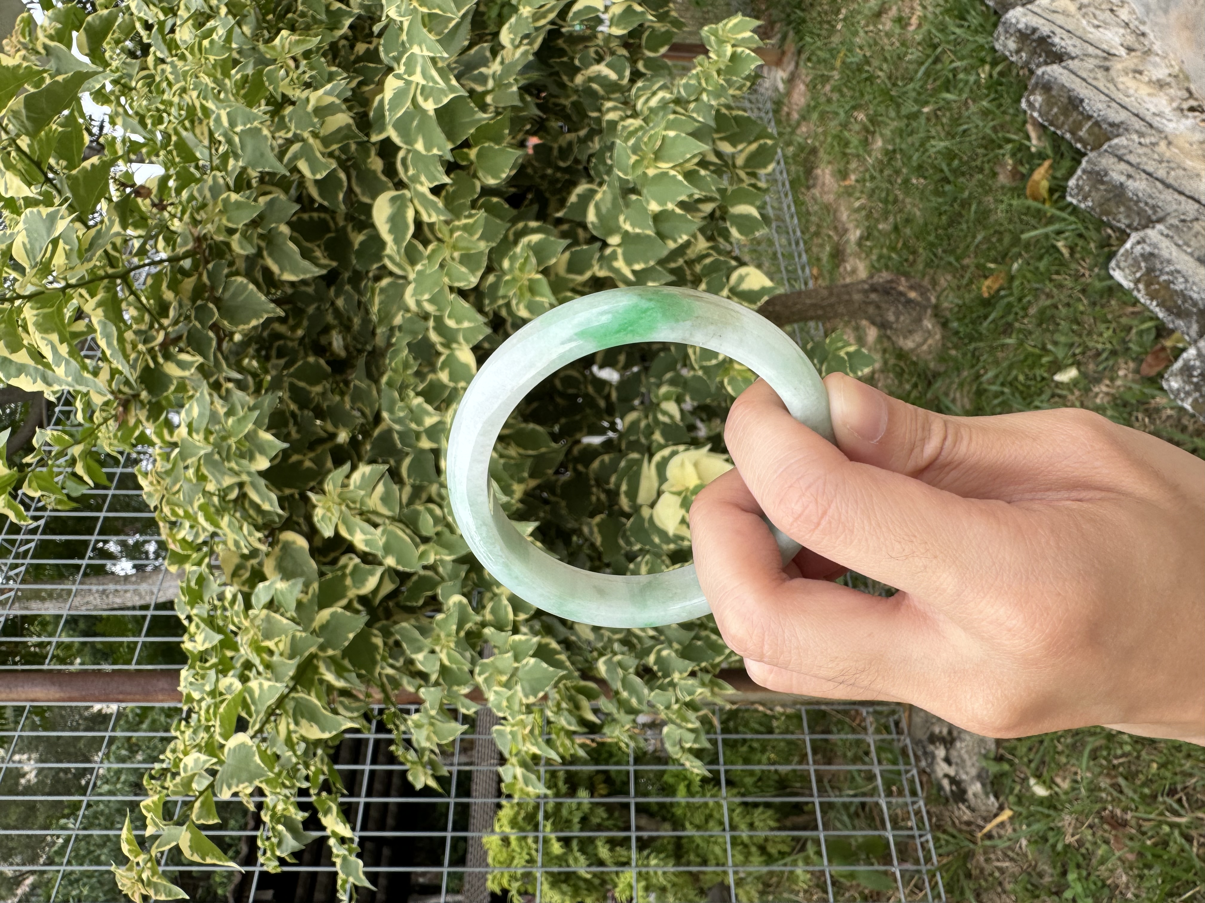 Snowgrass Jadeite Bangle 59mm