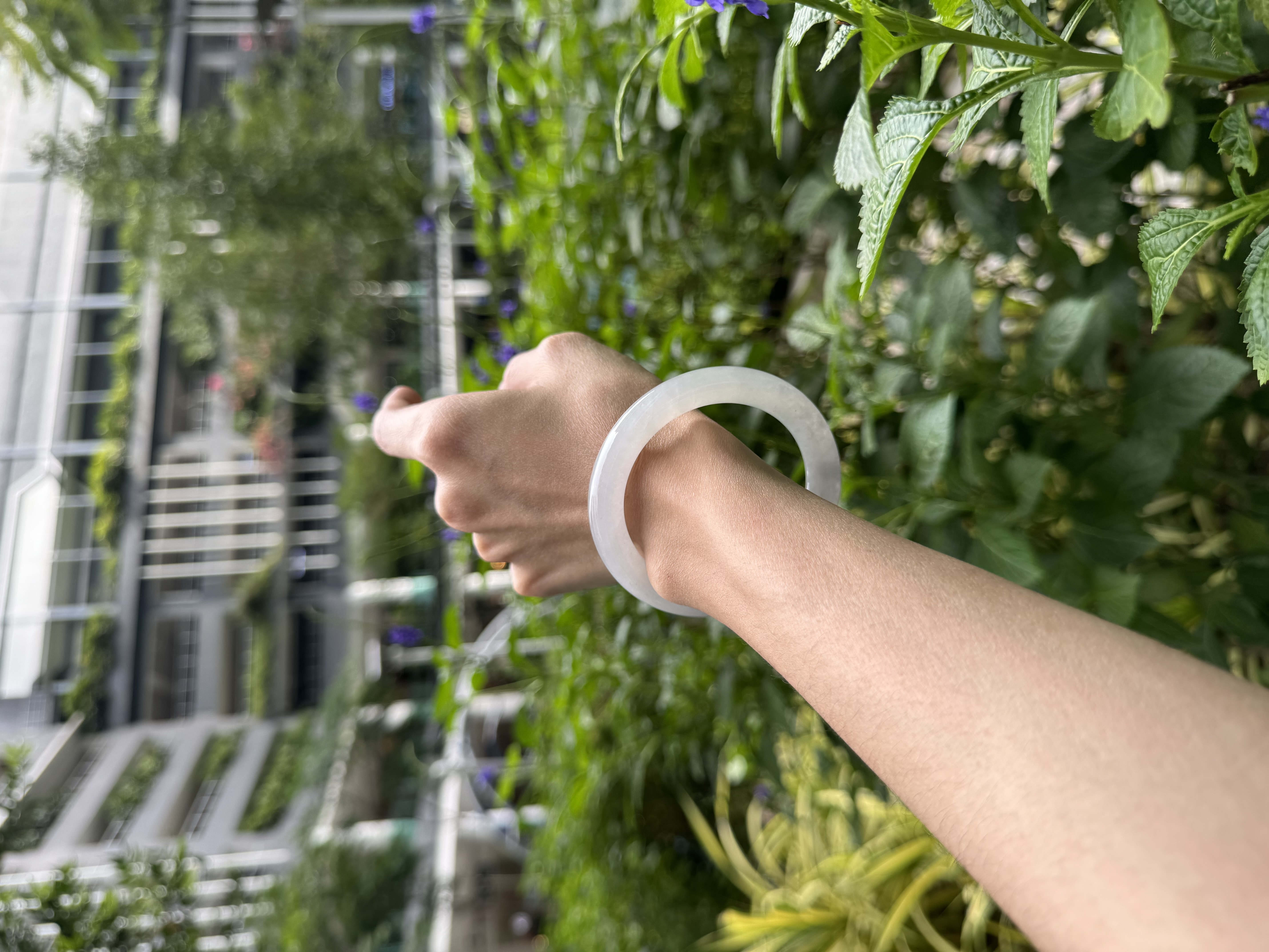 Moonlight White Jadeite Bangle 54mm