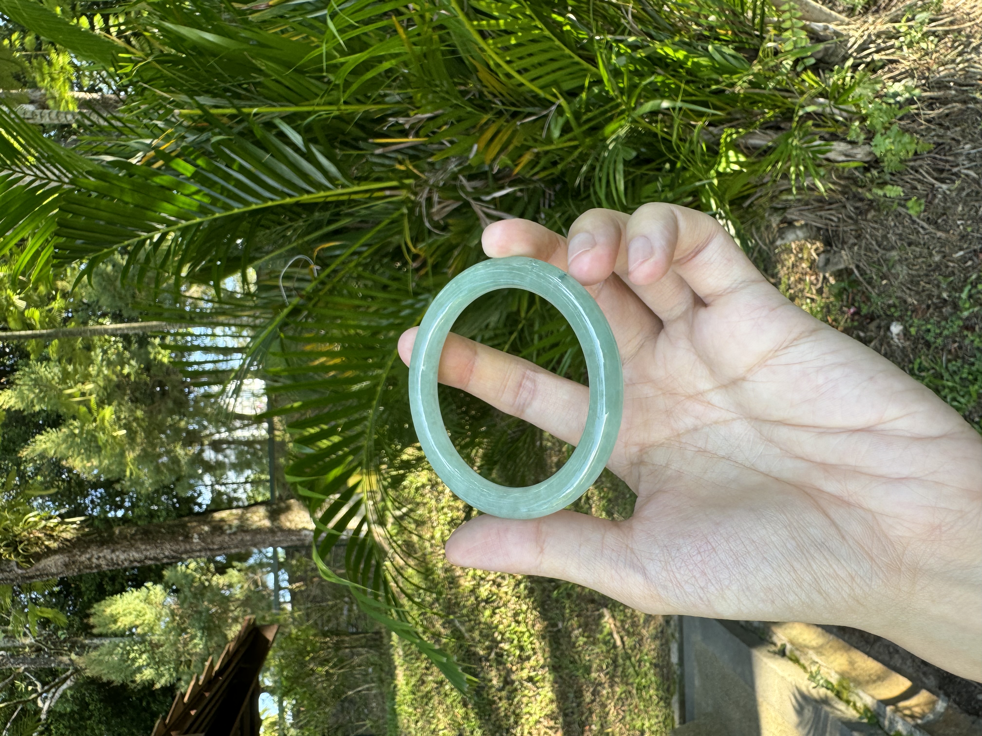 Icy Green Jadeite Bangle 51.5mm