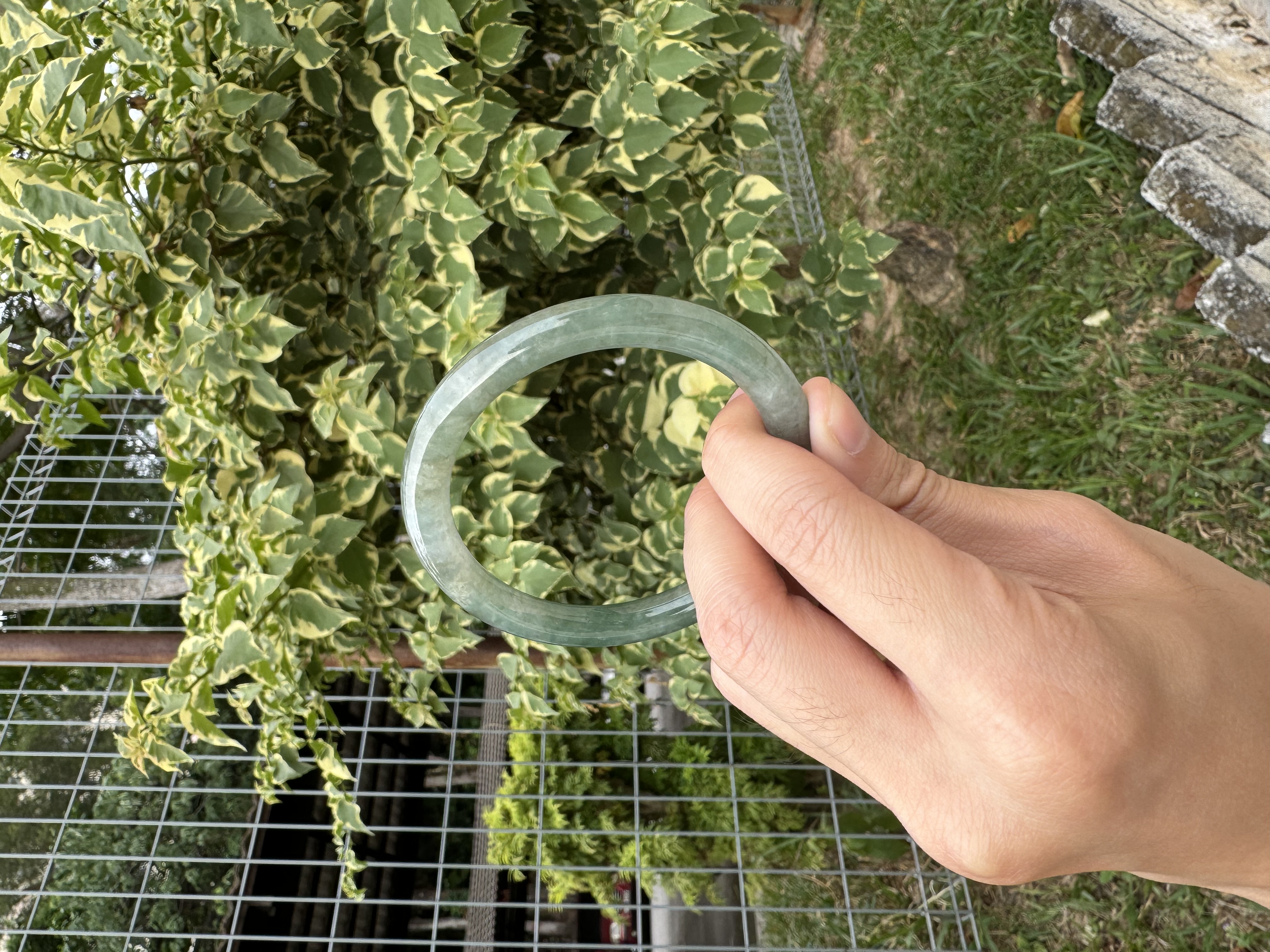 Lake Green Jadeite Bangle 55mm