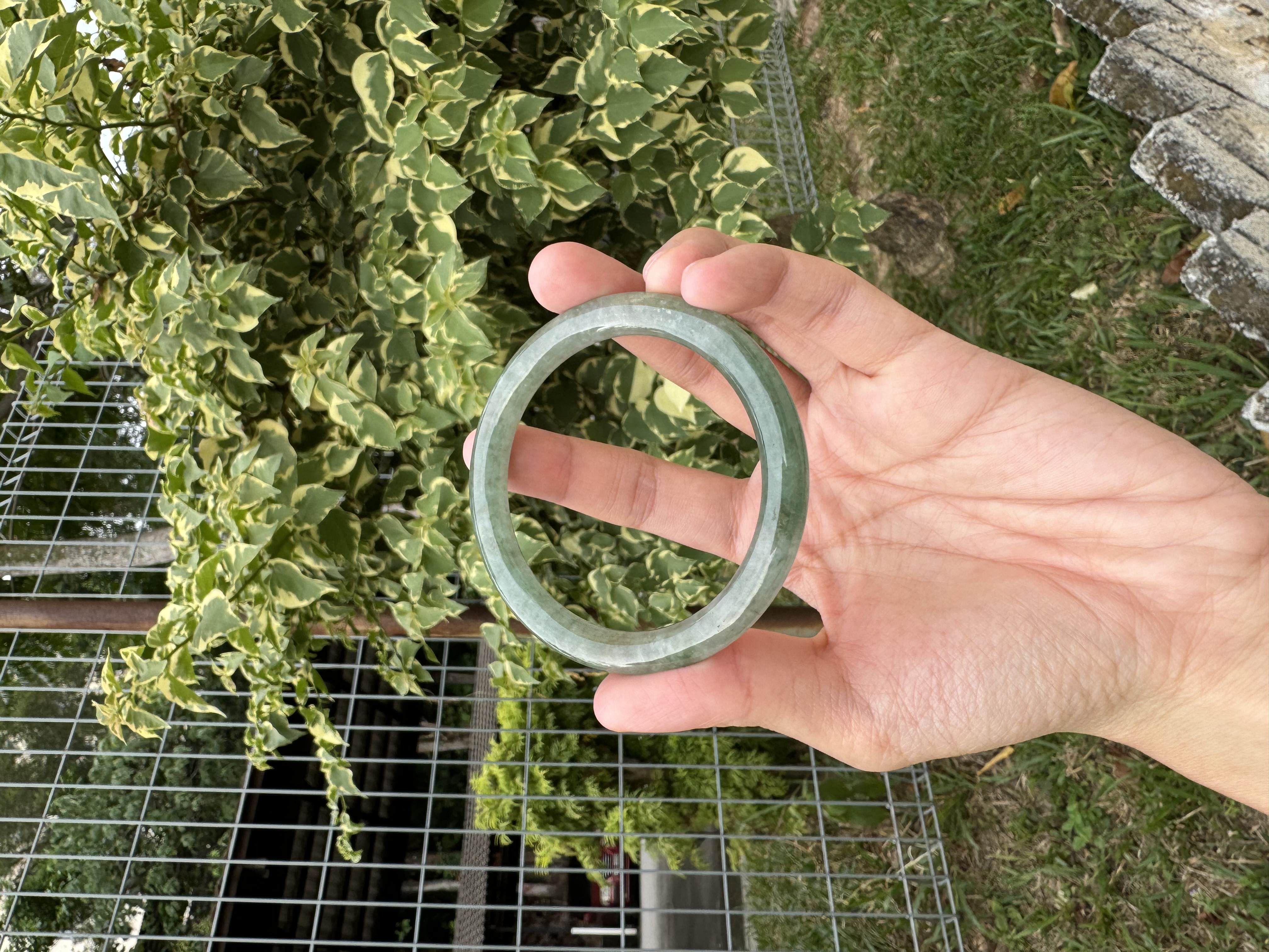Lake Green Jadeite Bangle 55mm