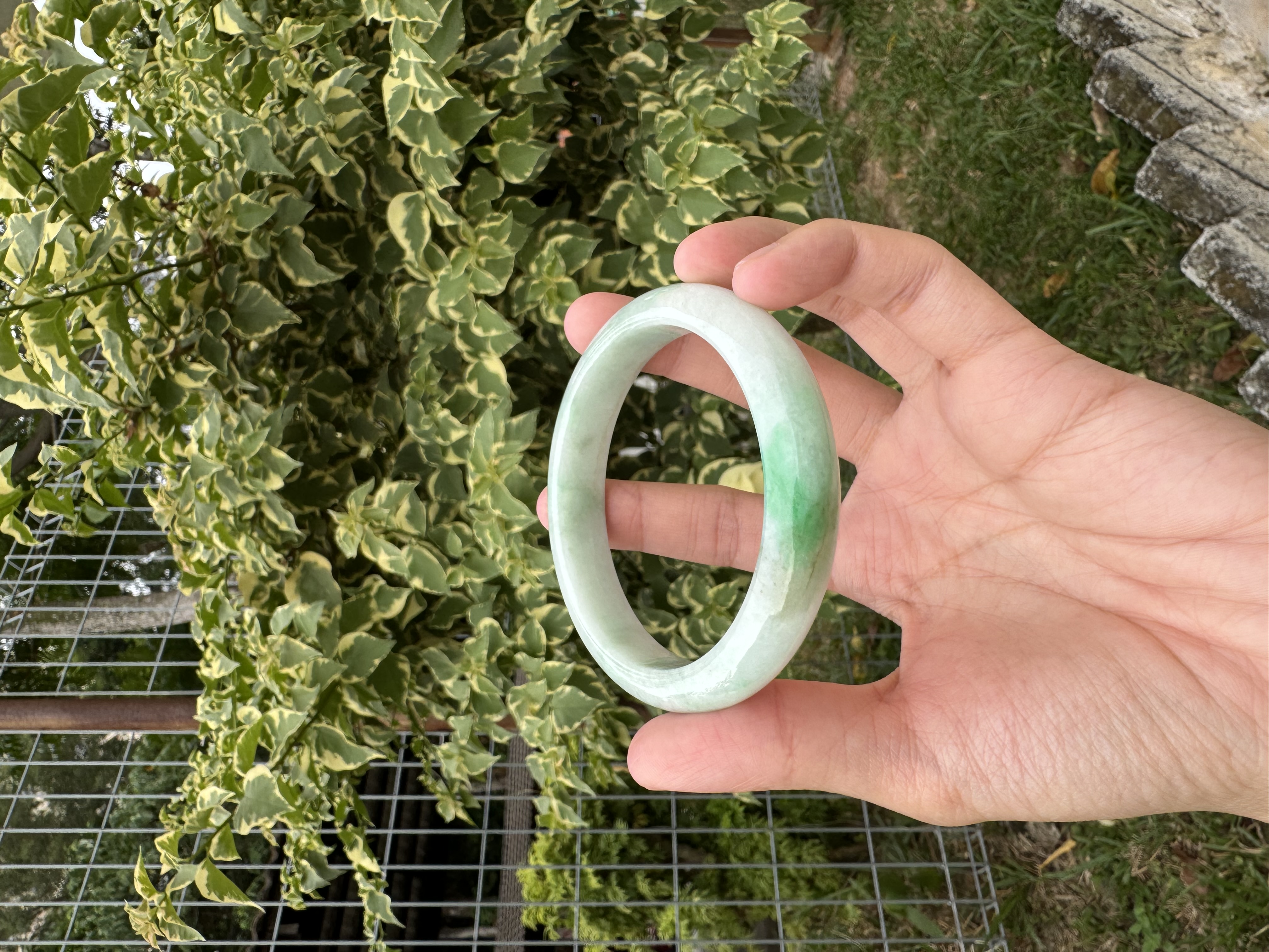 Snowgrass Jadeite Bangle 59mm