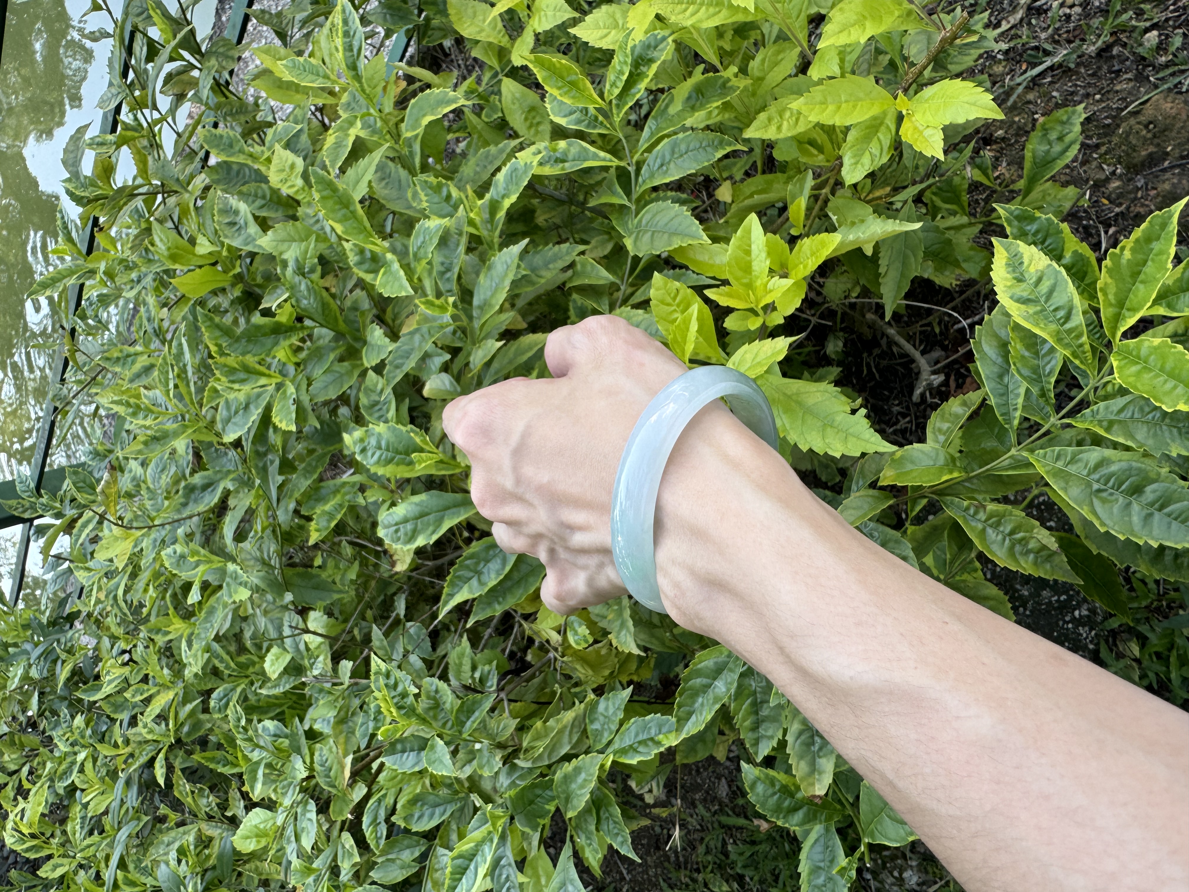 Icy Sunny Green Oval Jadeite Bangle 56mm