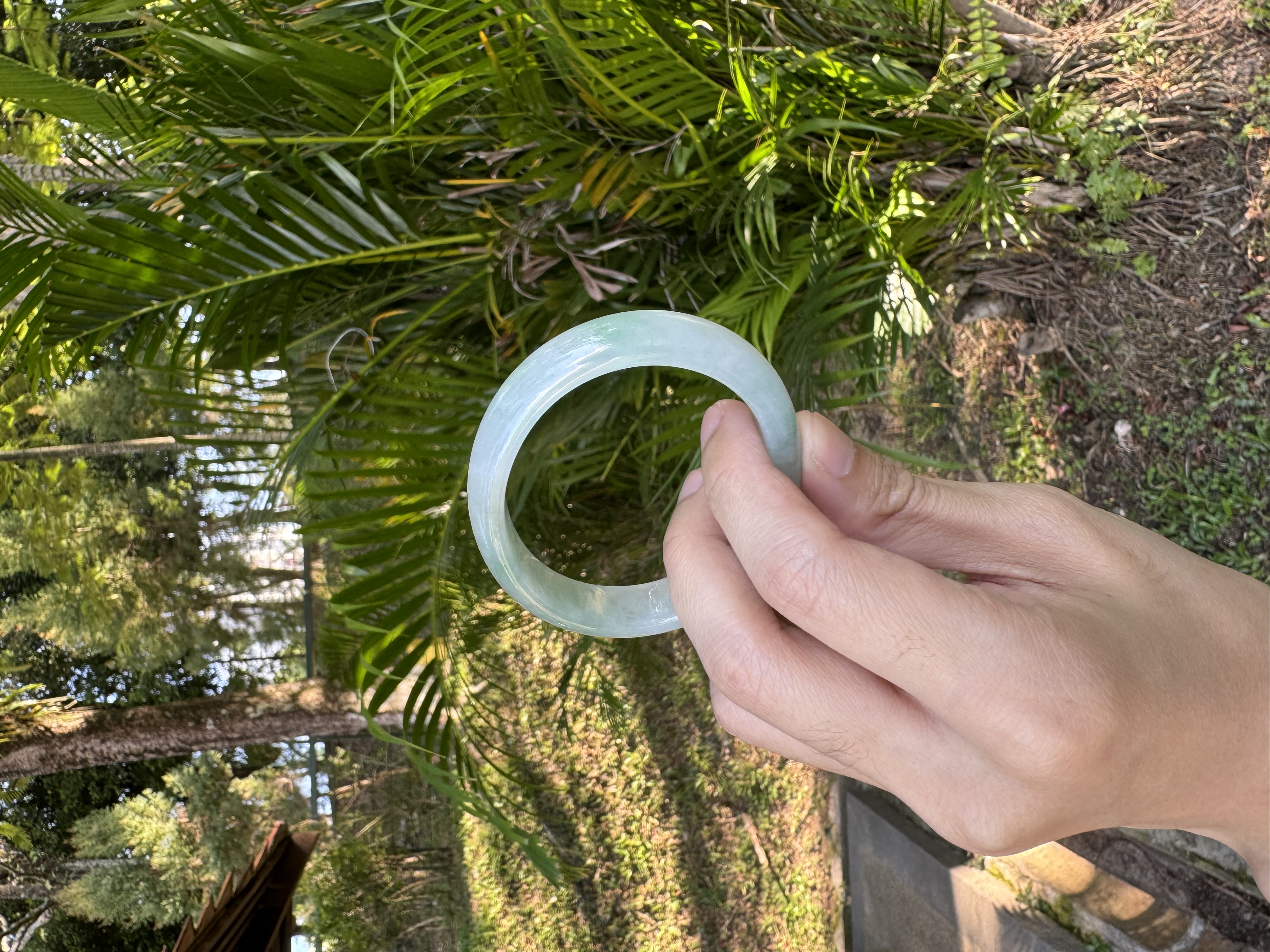 Icy Sunny Green Oval Jadeite Bangle 56mm