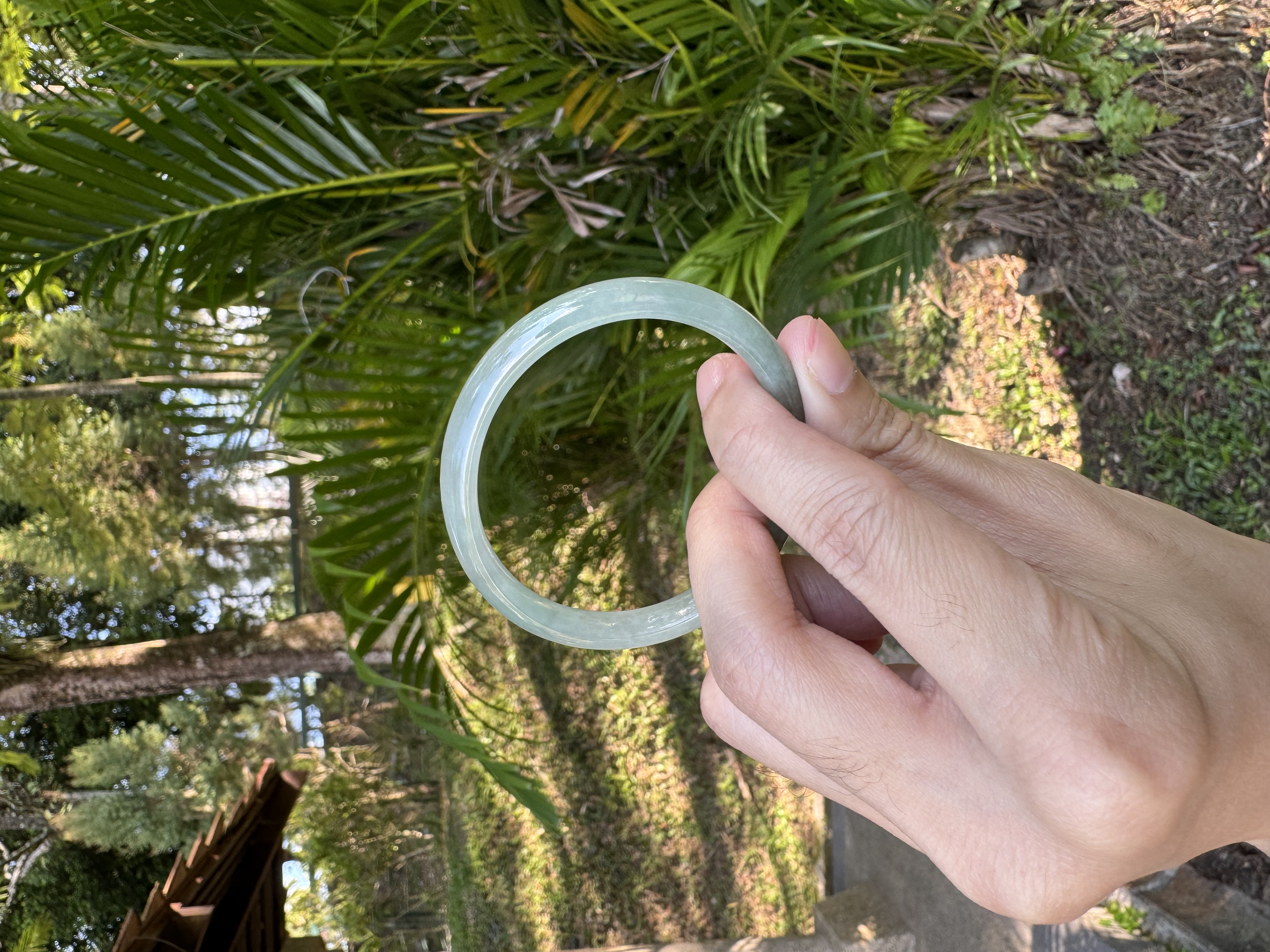 Sunny Green Oval Jadeite Bangle 57mm
