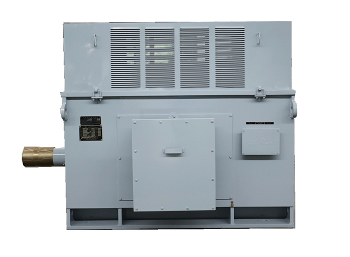 Industrial Electric Motor