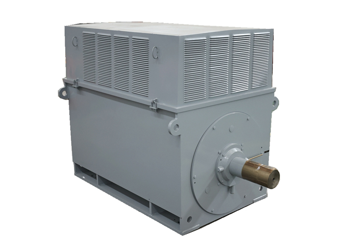 High Voltage Electric Motor Y series