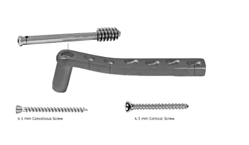 Locking Dynamic Condylar Screw Plate