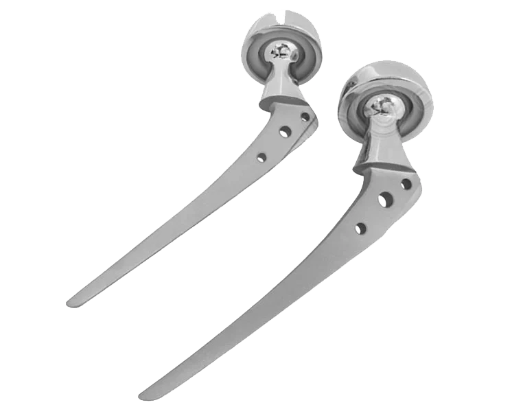 Bipolar Hip Prosthesis