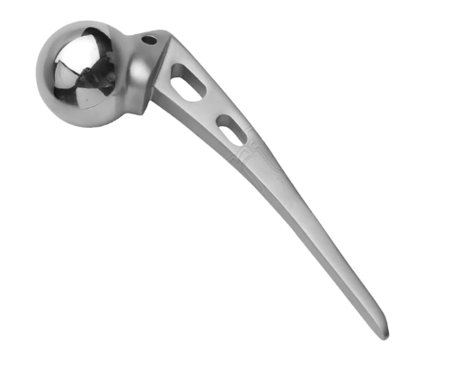 Austin Moore Hip Prosthesis