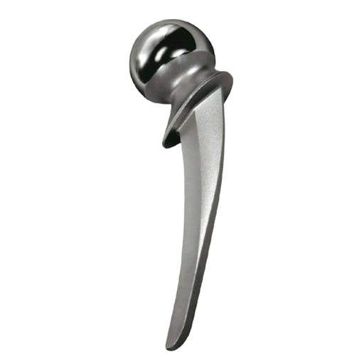 Thompson Hip Prosthesis