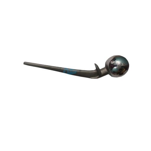 Lazcano Hip Prosthesis