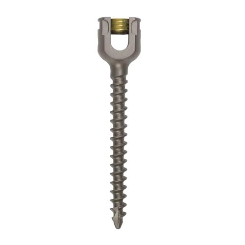 Monoaxial Screw