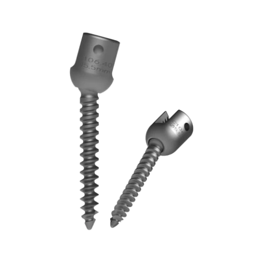 Polyaxial Screw