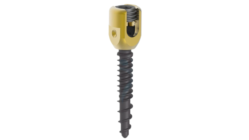 Pedicle Screw