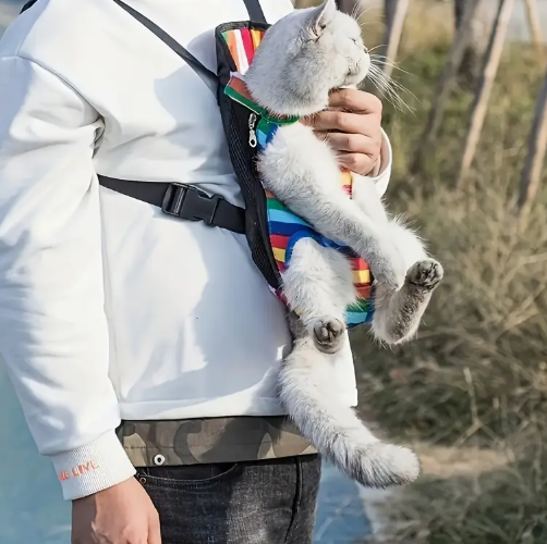 Canguro/ Mochila para paseo 