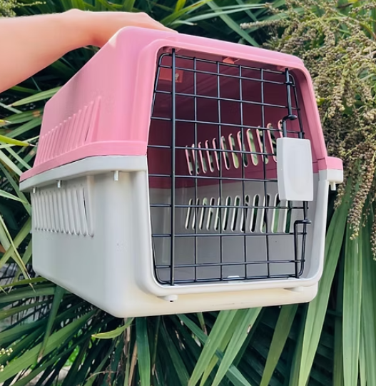 Transportadora Kennel 