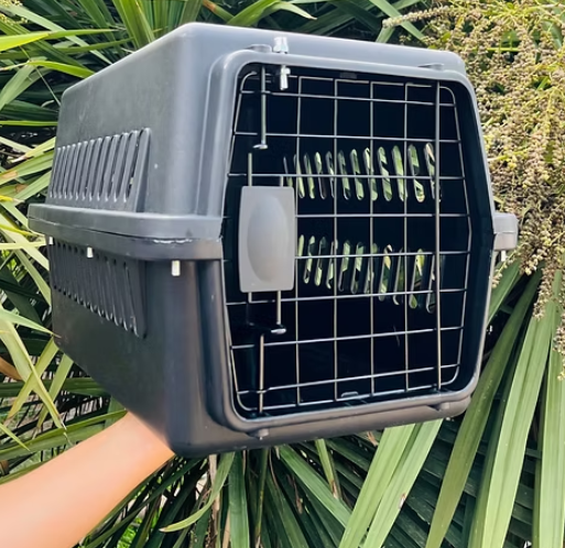 Transportadora Kennel 