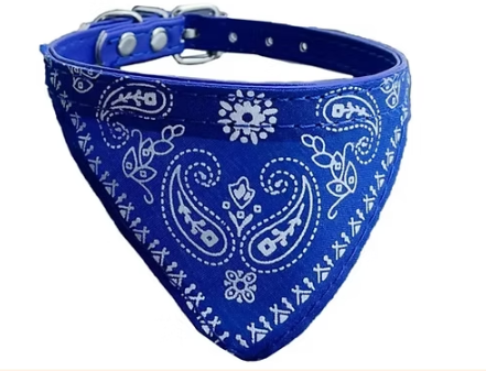 Collar bandana 