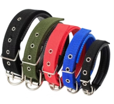 Collar reforzado acolchonado 
