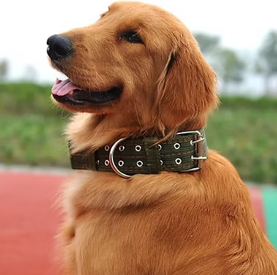 Collar de tela reforzado 4 cintas 
