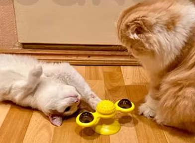 Spinner 