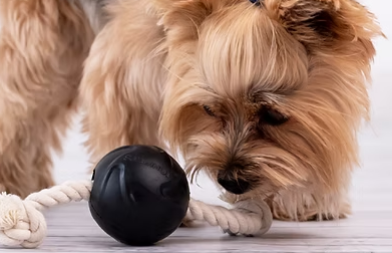 Pelota Rellenable Con Cuerda