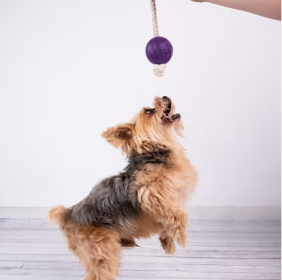 Pelota Rellenable Con Cuerda