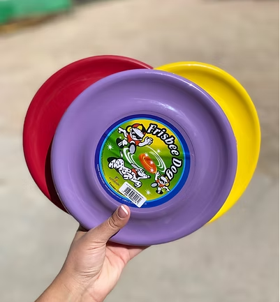 Frisbee Alvorada