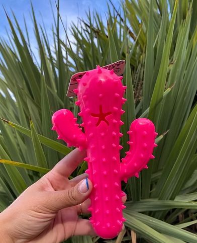Cactus macizo de goma 