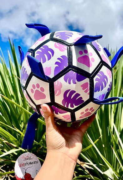Pelota Full 🌿