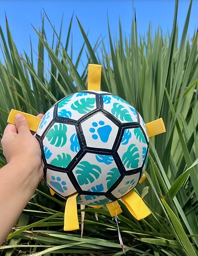 Pelota Full 🌿