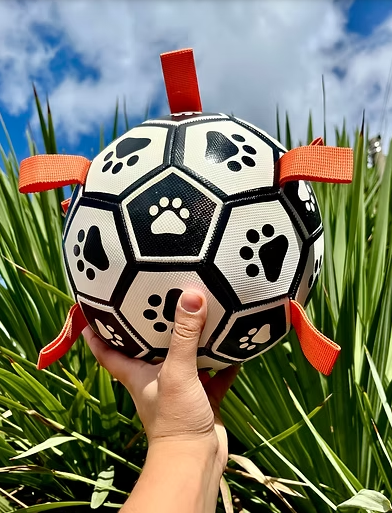 Pelota Full 🌿