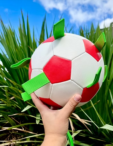 Pelota Domo ⚽️🐩
