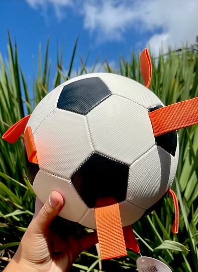 Pelota Domo ⚽️🐩
