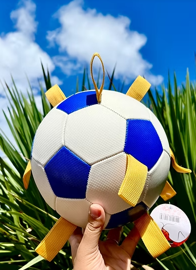 Pelota Domo ⚽️🐩