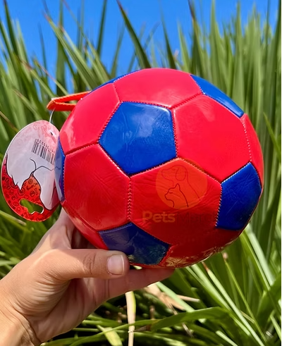Pelota Piccolo 🐾