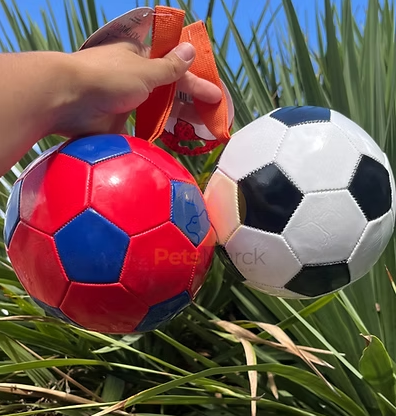 Pelota Piccolo 🐾