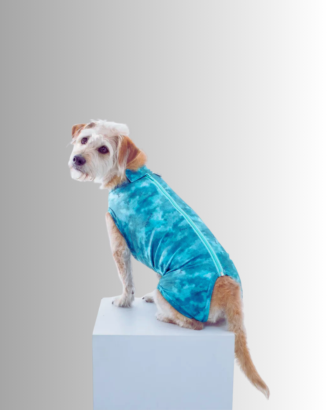 Enterito Protector para cirugías abdominales  