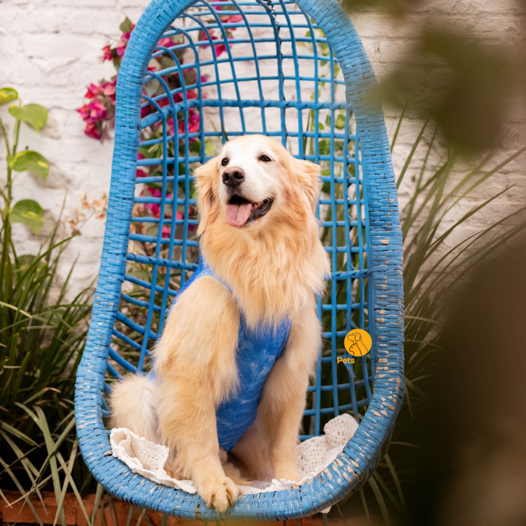 Enterito Protector para cirugías abdominales  