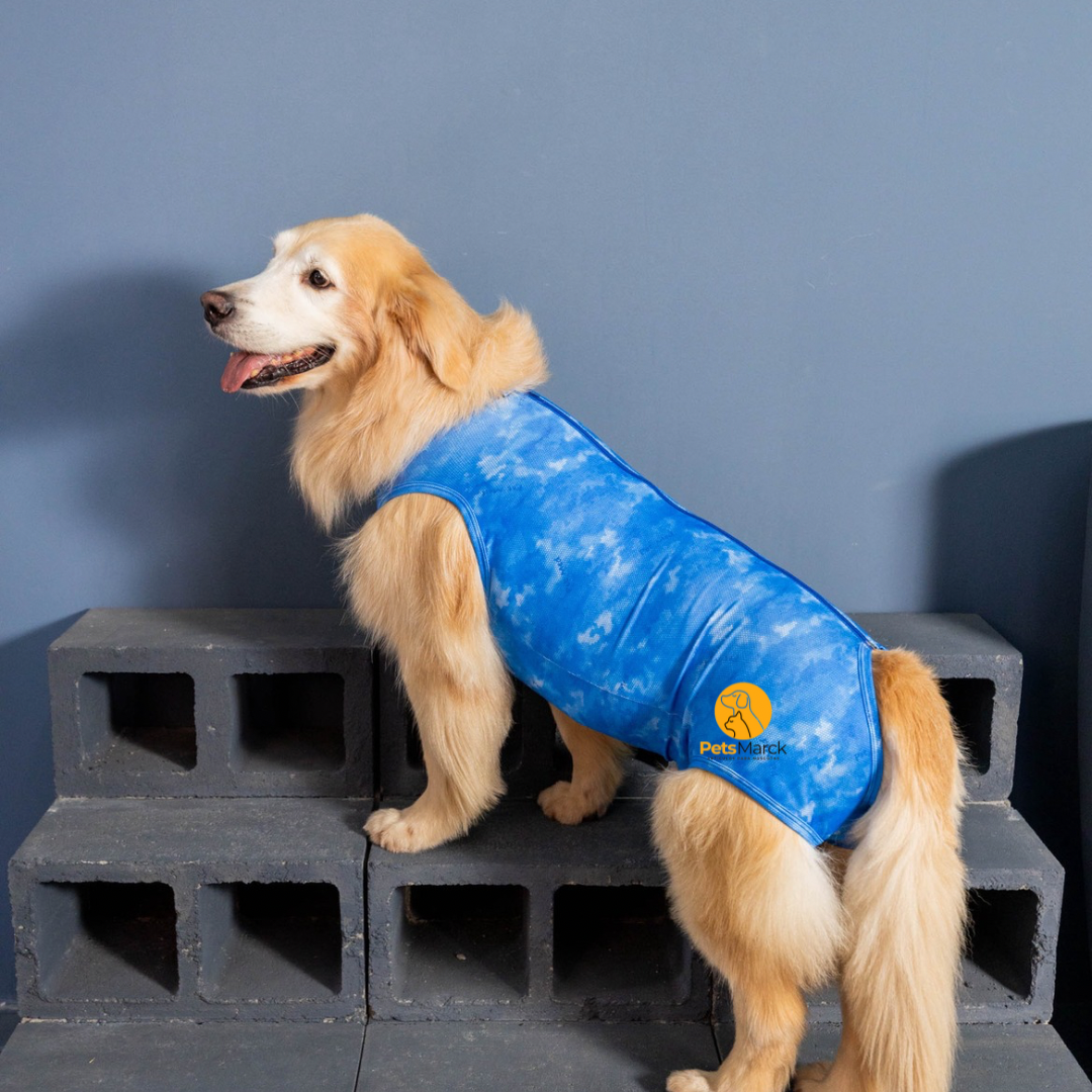 Enterito Protector para cirugías abdominales  