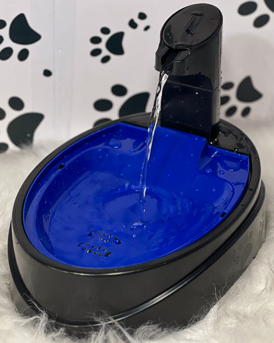 Fuente de agua Eloisa 