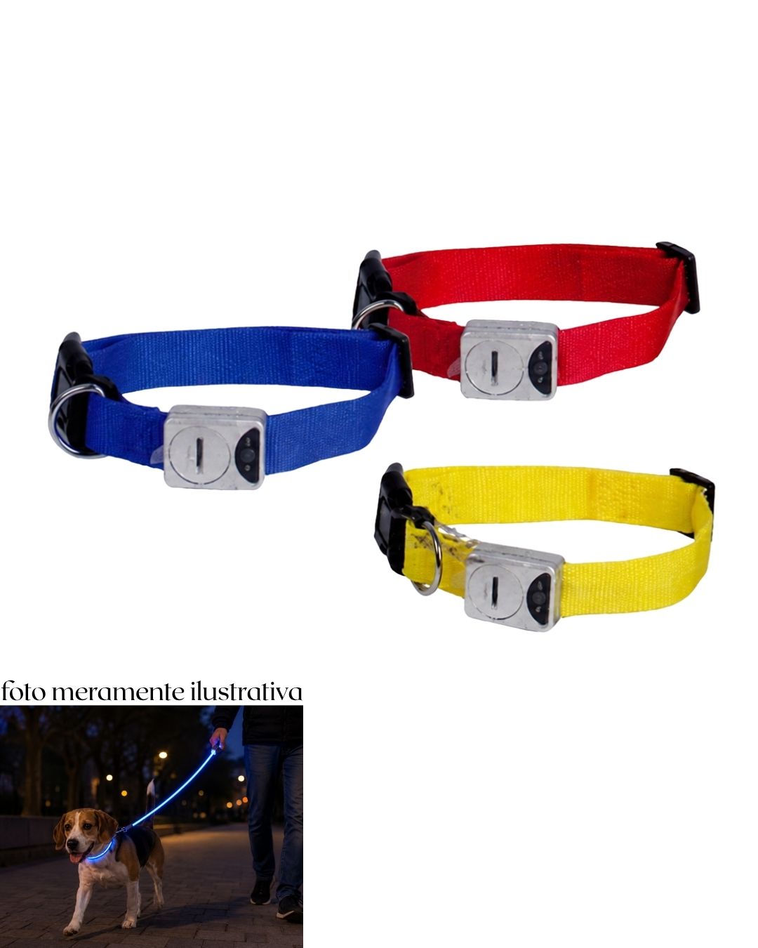 Correa - collar con luz led 