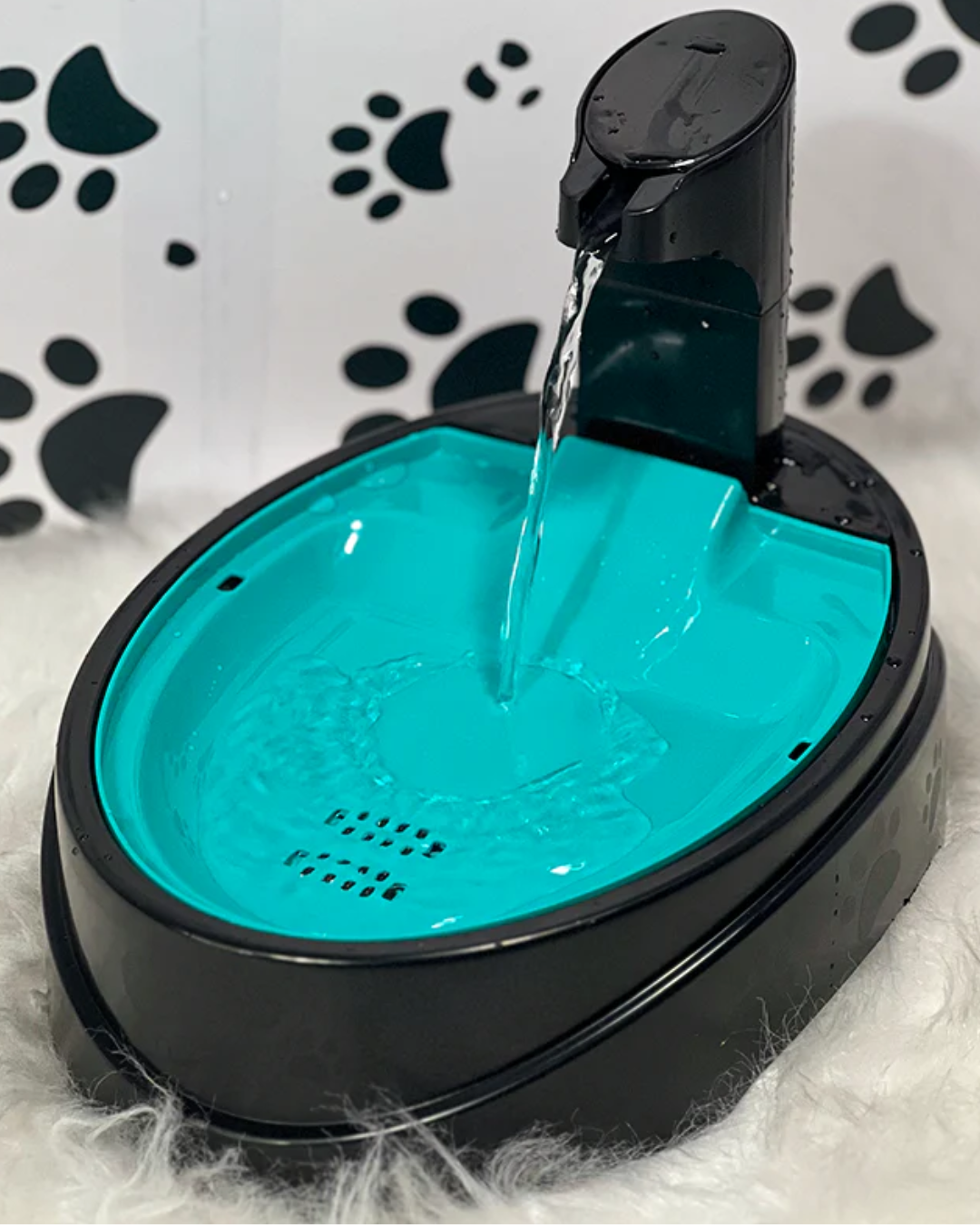 Fuente de agua Eloisa 