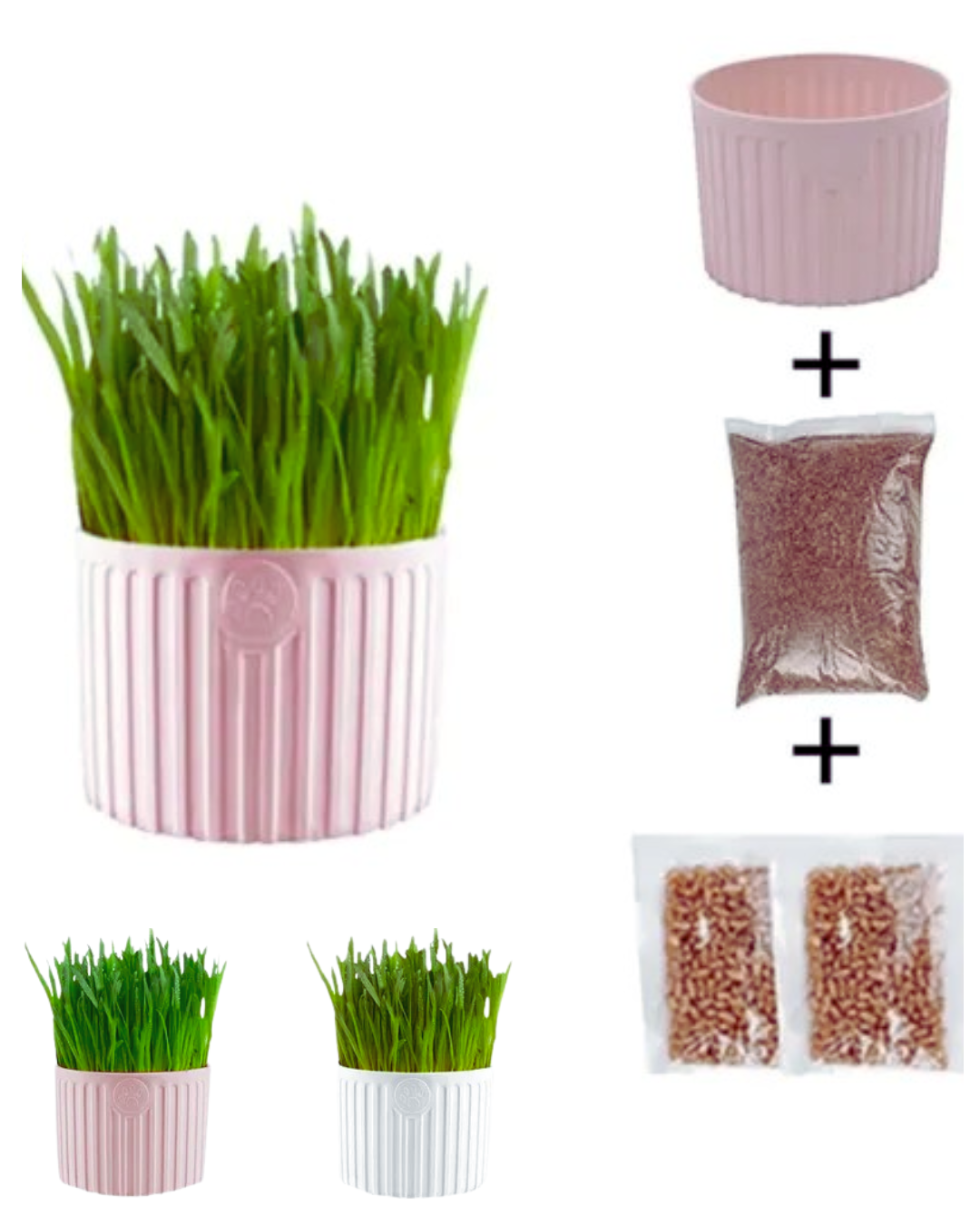 kit Germinador 