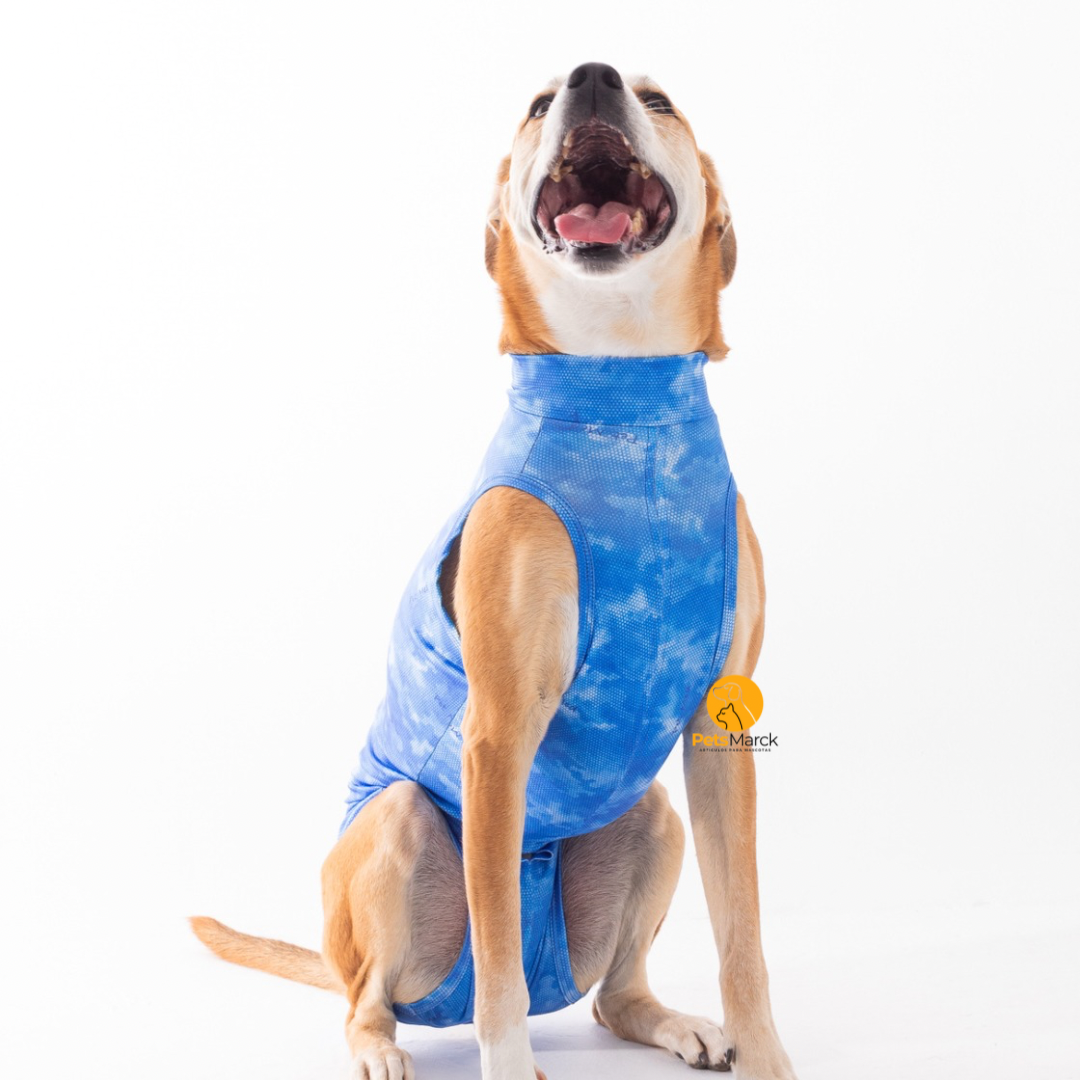 Enterito protector para castración de perros machos 