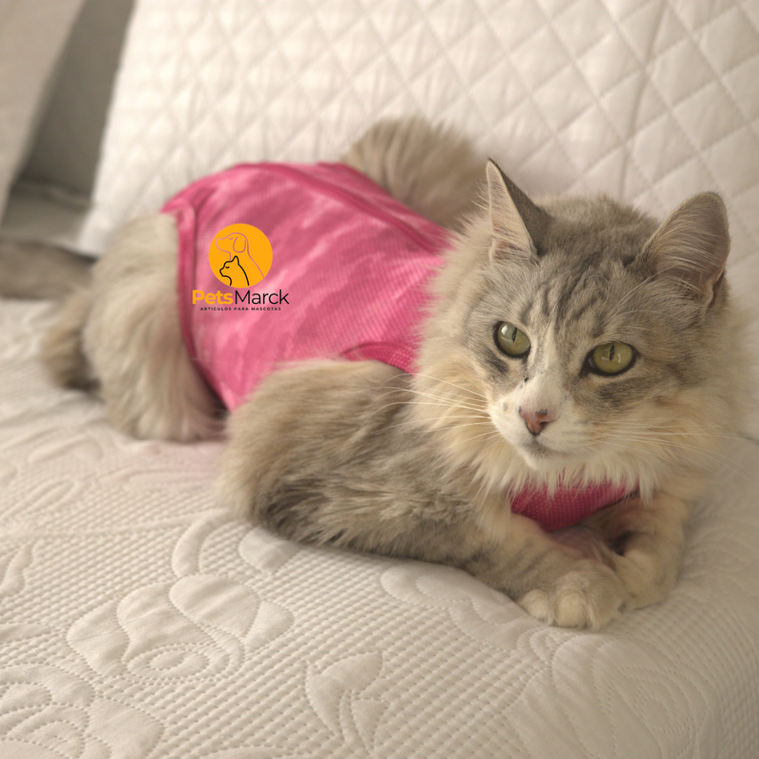 Ropa protectora Post Castración 
