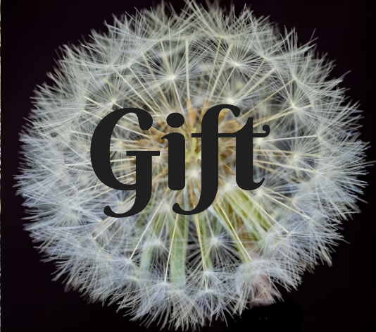 15% Discount For Additional Quantities - Book Only - My Book of Wishes - Choose Hardcover or Concealed Spiral